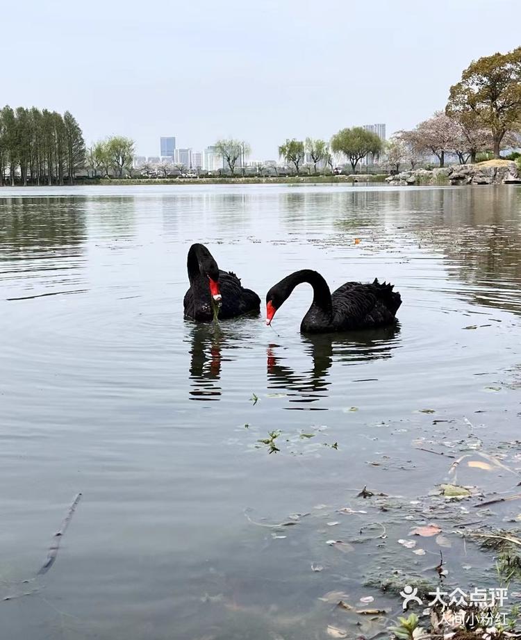 太湖佳绝处图片