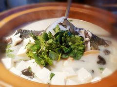 -姜君·千岛湖鱼头馆(浦东大道店)