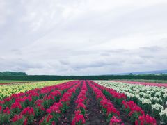 -富田农场