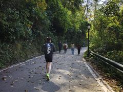 -三门江国家森林公园