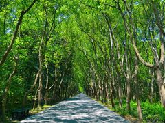-同里国家湿地公园