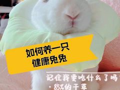 -美联众合动物医院·24h转诊中心