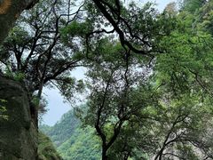 -洛阳白云山景区