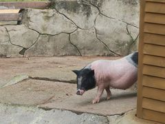 -宁波野生动物园