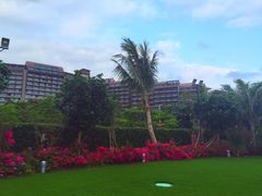 -三亚湾海居铂尔曼度假酒店