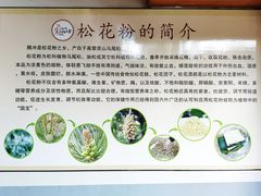 -杨大爹稀豆粉私房菜