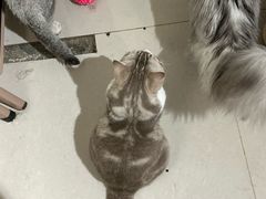 -平行世界·猫咖(首经贸店)