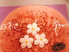 -元祖食品GANSO(常州新北区店)