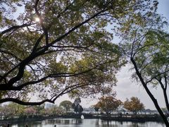 -无锡蠡湖国家湿地公园-蠡园