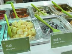 -Salud撒露欧洲冻酸奶(五道口购物中心店)