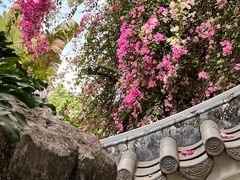 -深圳国际园林花卉博览园