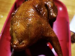 -光明刘冰乳鸽店(光明法政北路店)