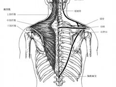 -OneFit健身(汇锦城店)