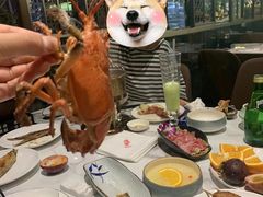 小青龙-海友荟•鲸彩(济宁爱琴海店)