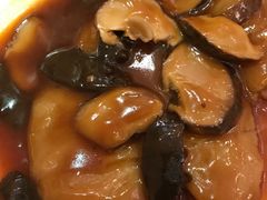 -帝皇楼