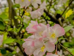 -两江幸福广场