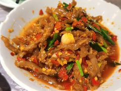 鸭掌筋-壹盏灯(惠农店)