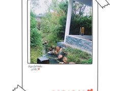-深业半汤御泉庄温泉