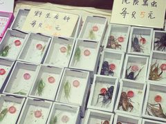 -万商花鸟市场