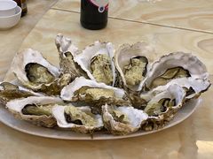 -蚝专家(北滘店)
