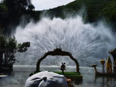 -西双版纳原始森林公园