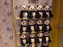 -成都尼依格罗酒店