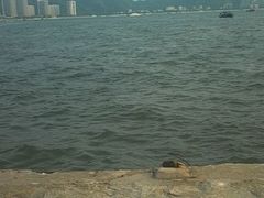 android_upload_pic-巽寮湾