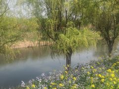 -赵州桥景区