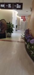 点击看大图 -天津伊美尔医疗整形美容专科医院