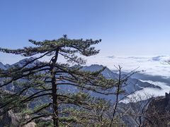 -黄山风景区