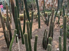 -北京植物园-展览温室