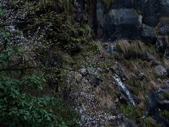 -大明山自然探索公园