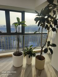 -HEYAN荷妍专业脱毛连锁机构