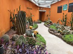 -正佳雨林生态植物园