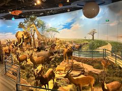 -陕西自然博物馆