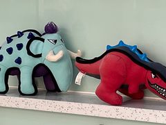 -佳雯宠物医院(金华南路分院)