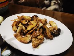 酥油煎野生菌-五彩雪域藏餐馆