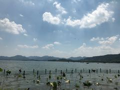 -湖畔居茶楼(湖滨店)