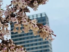 -成都市活水公园
