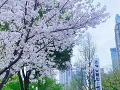 -静安雕塑公园