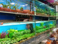 -双季花艺园艺市场(浦东店)