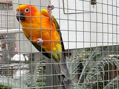 -大连森林动物园