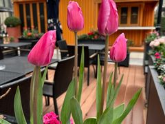 -blue frog蓝蛙(长泰广场店)