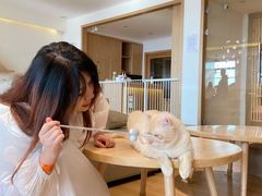 -猫腻·猫咖·撸猫馆(星光大道店)