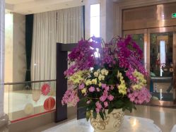 -广州曙光医学美容医院