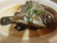 -国惠大酒楼(宝龙店)