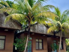 -兴隆槟榔园休闲农庄