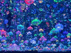 -上海梵高星空艺术馆(南京路旗舰店)