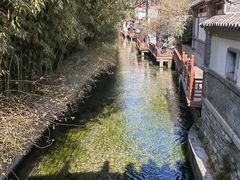 -趵突泉景区