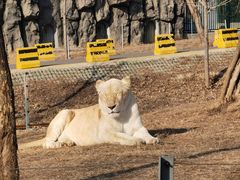 -秦皇岛野生动物园